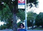 d043-The first bus stop experience.jpg